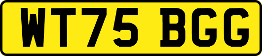 WT75BGG