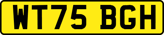 WT75BGH