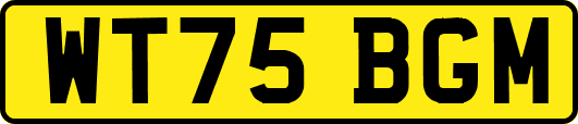 WT75BGM