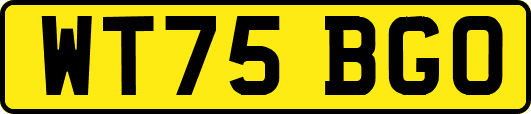 WT75BGO