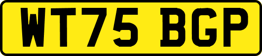 WT75BGP