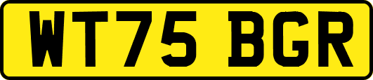 WT75BGR