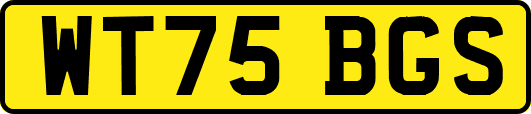 WT75BGS