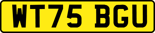 WT75BGU