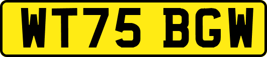 WT75BGW