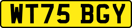 WT75BGY