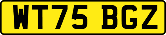 WT75BGZ