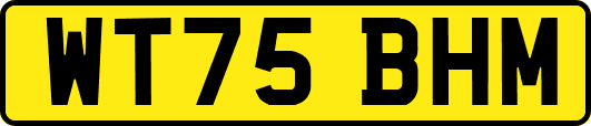 WT75BHM