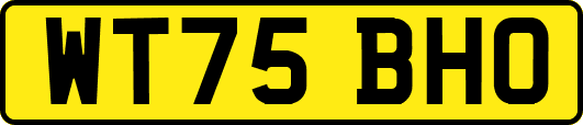 WT75BHO