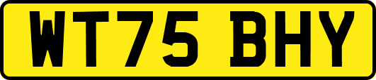 WT75BHY