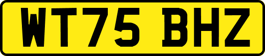 WT75BHZ
