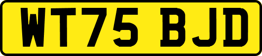 WT75BJD