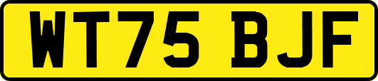WT75BJF