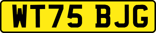WT75BJG