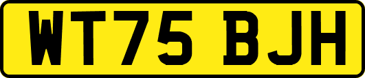 WT75BJH