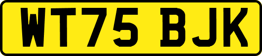 WT75BJK