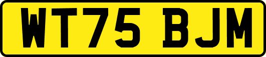 WT75BJM