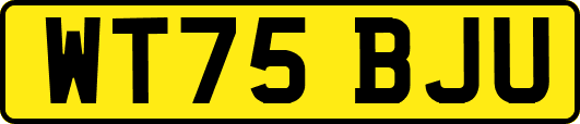 WT75BJU