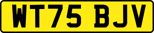 WT75BJV