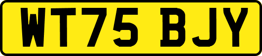 WT75BJY