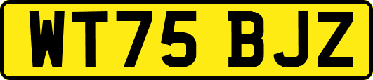 WT75BJZ