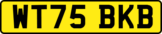 WT75BKB