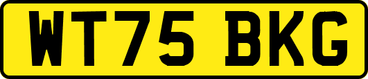 WT75BKG