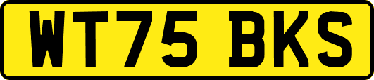 WT75BKS
