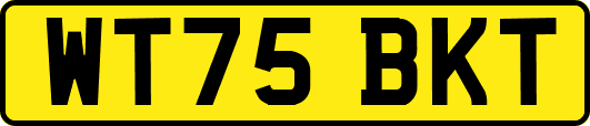 WT75BKT