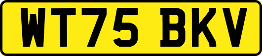 WT75BKV
