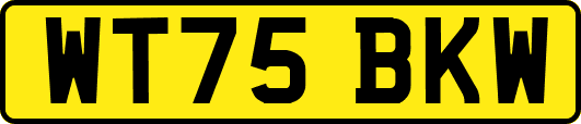 WT75BKW