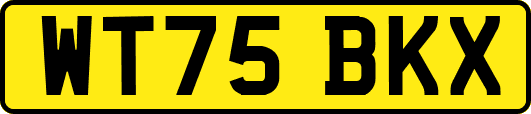WT75BKX