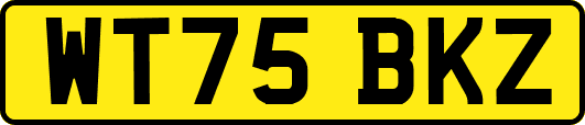 WT75BKZ