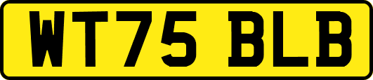 WT75BLB