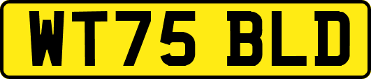 WT75BLD