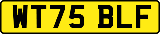 WT75BLF