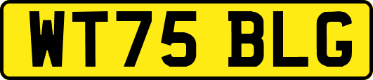 WT75BLG