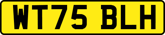 WT75BLH
