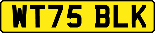 WT75BLK