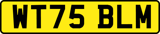 WT75BLM