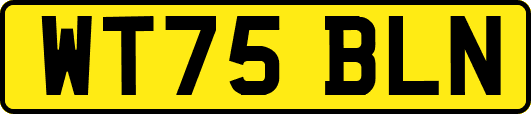 WT75BLN