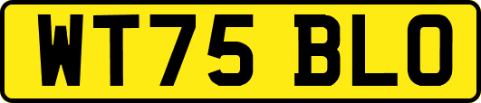 WT75BLO
