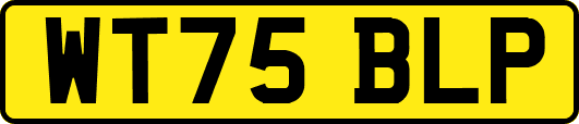WT75BLP