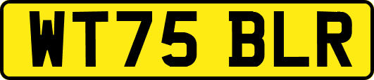 WT75BLR
