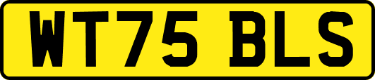 WT75BLS