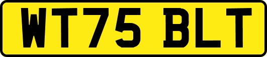 WT75BLT
