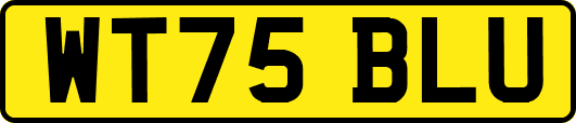 WT75BLU