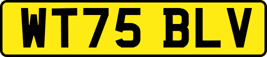 WT75BLV