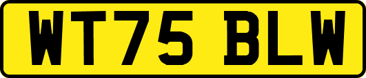 WT75BLW