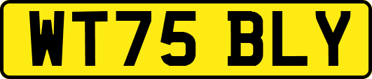 WT75BLY